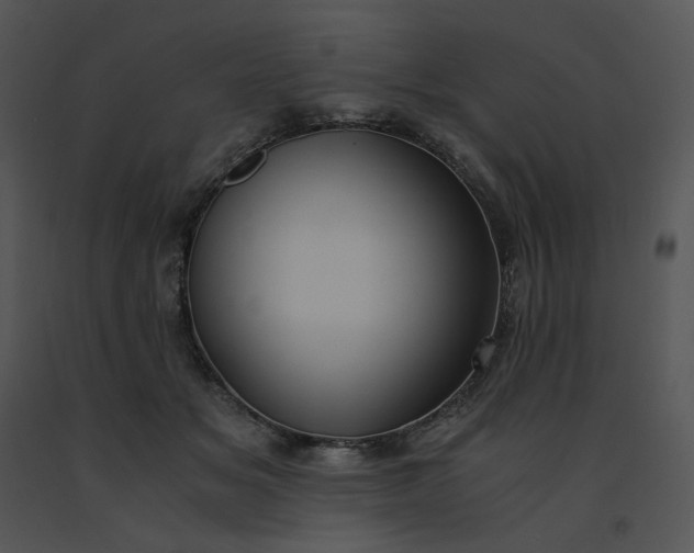 X0000091520509200708311252