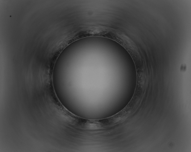 X0000091520510200708311252