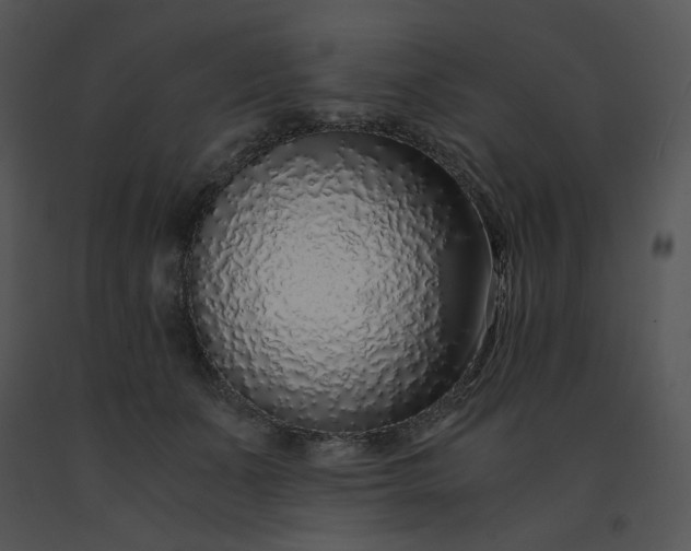 X0000091520511200708311252