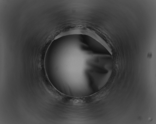 X0000091520512200708311252