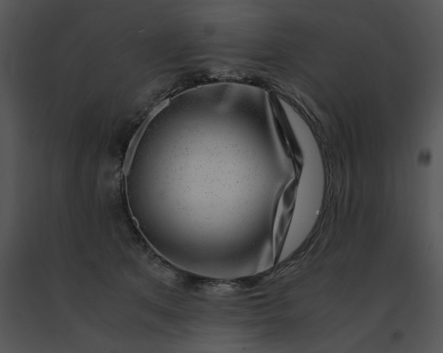 X0000091520513200708311252