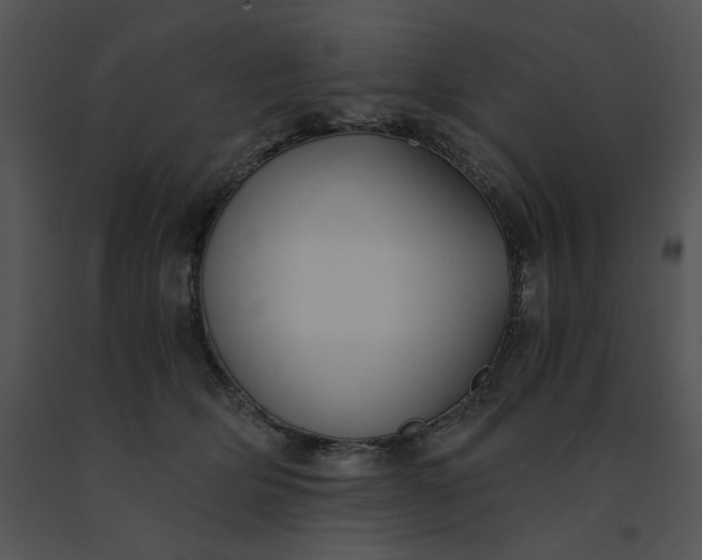 X0000091520514200708311252