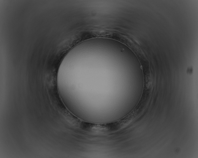 X0000091520515200708311252