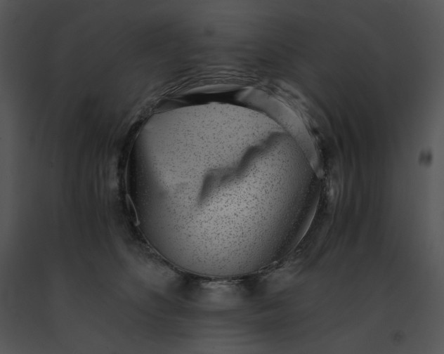 X0000091520516200708311252