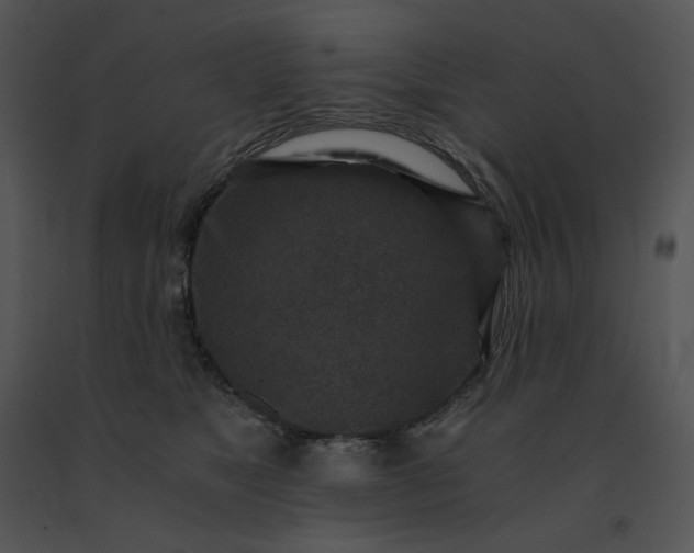 X0000091520517200708311252