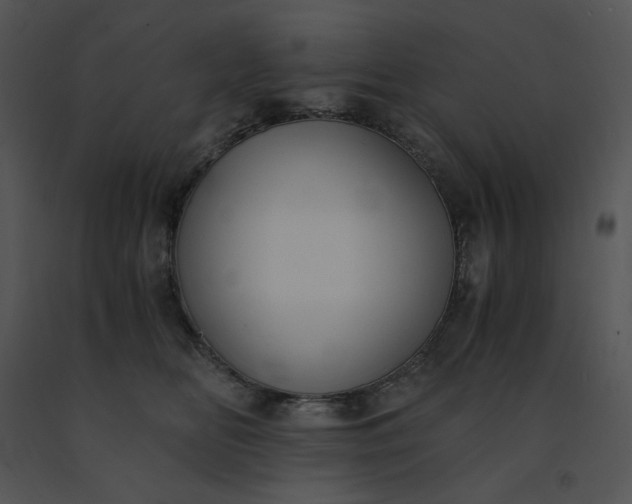 X0000091520518200708311252