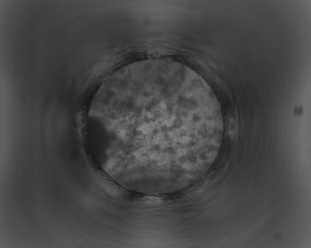 X0000091520519200708311252