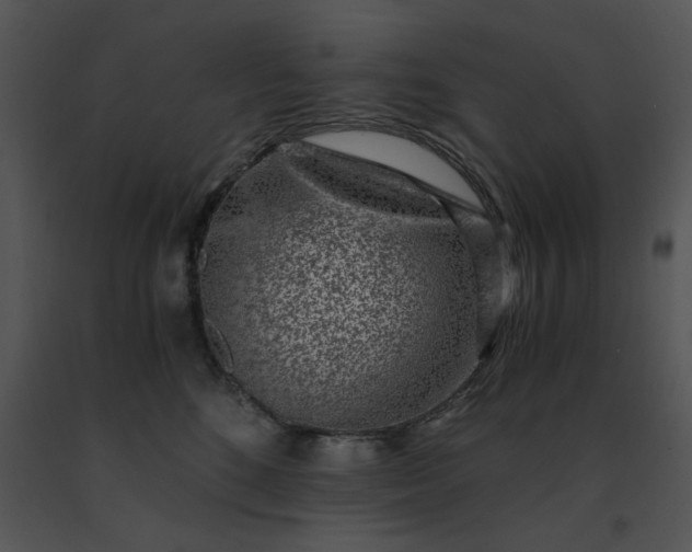 X0000091520520200708311252