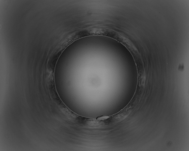 X0000091520521200708311252