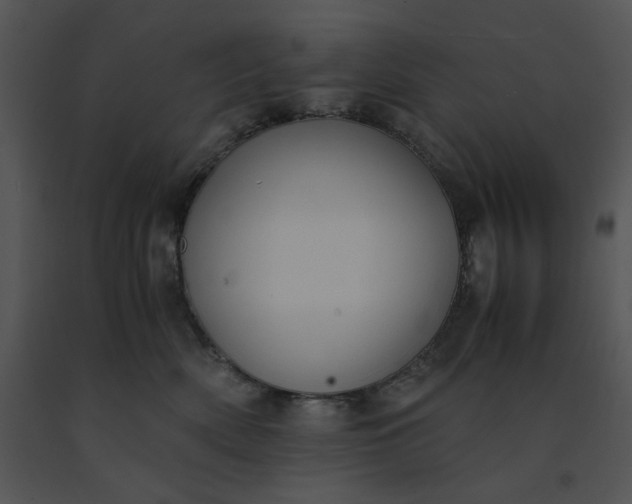 X0000091520522200708311252