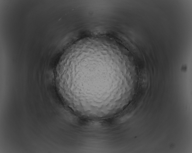 X0000091520523200708311252