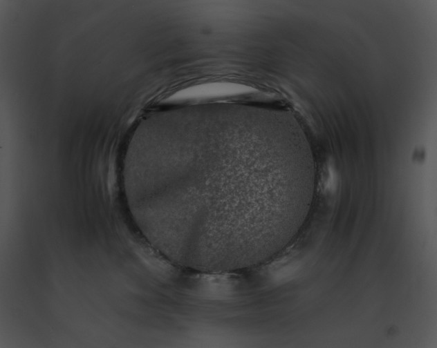 X0000091520524200708311252