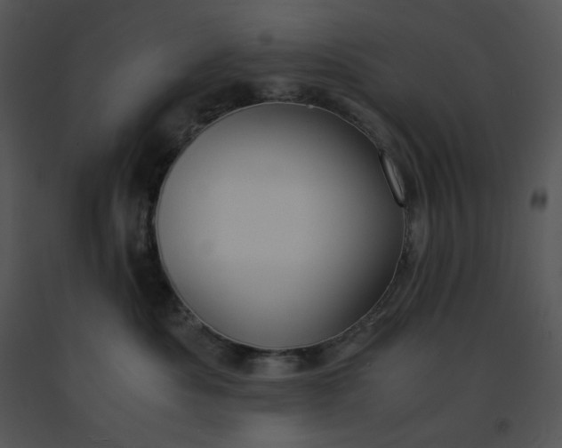 X0000091520525200708311252