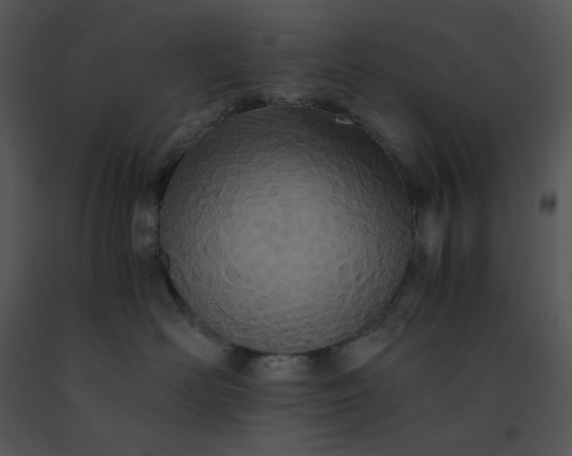 X0000091520526200708311252