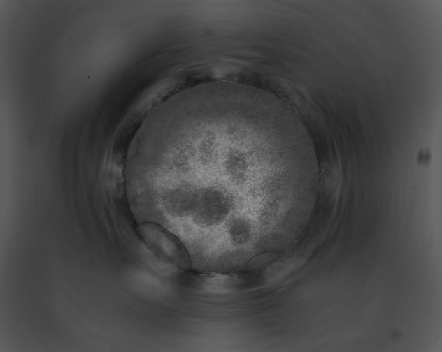 X0000091520527200708311252