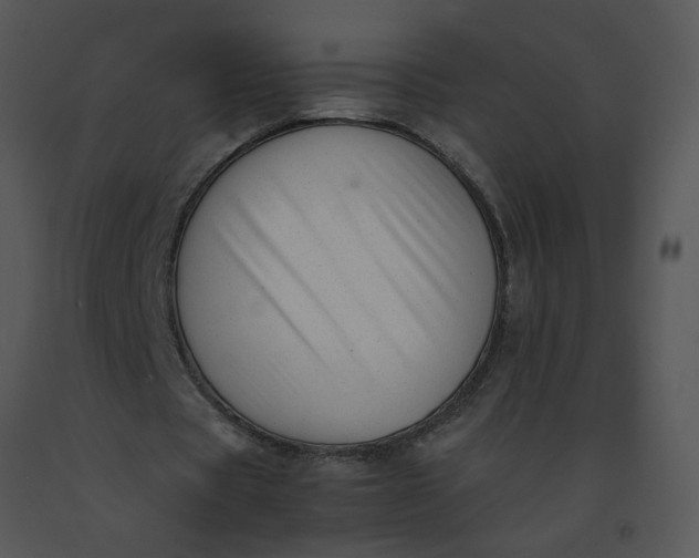 X0000091520529200708311251