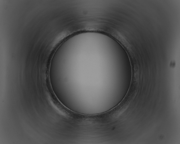 X0000091520530200708311251