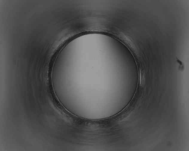 X0000091520531200708311251