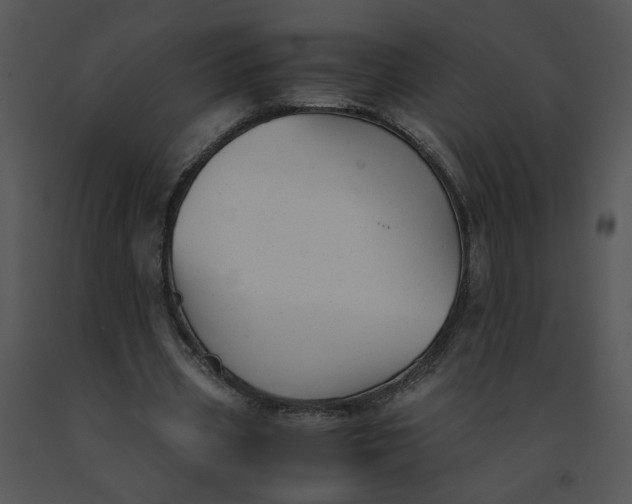 X0000091520533200708311251