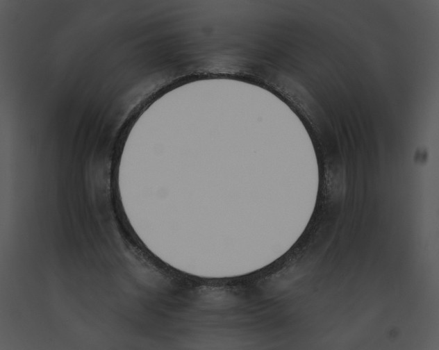 X0000091520534200708311251