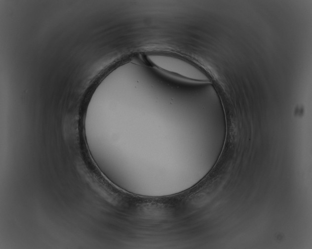 X0000091520535200708311251