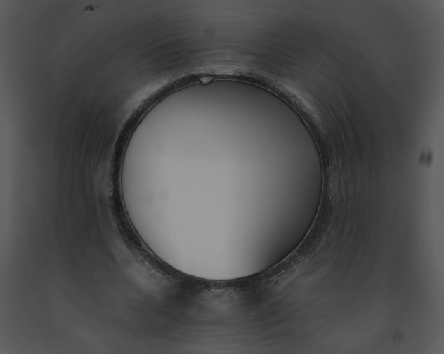 X0000091520536200708311251