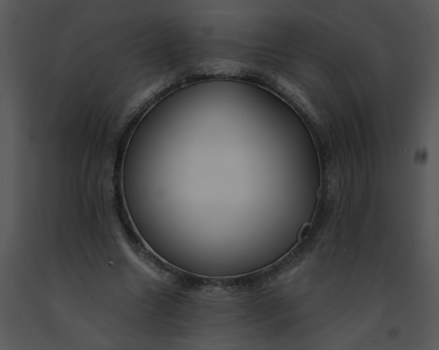 X0000091520538200708311251