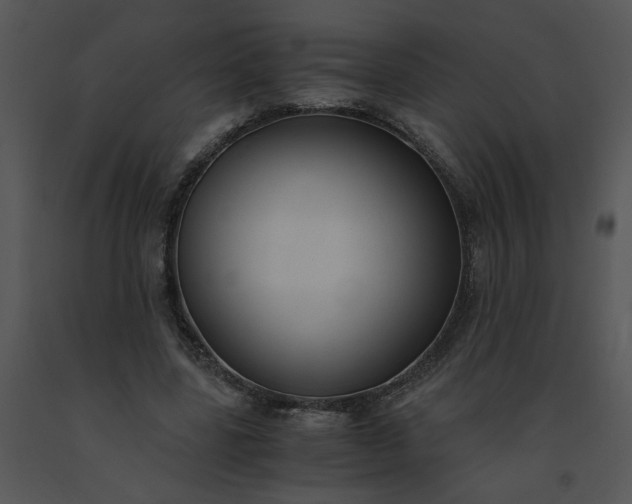 X0000091520539200708311251