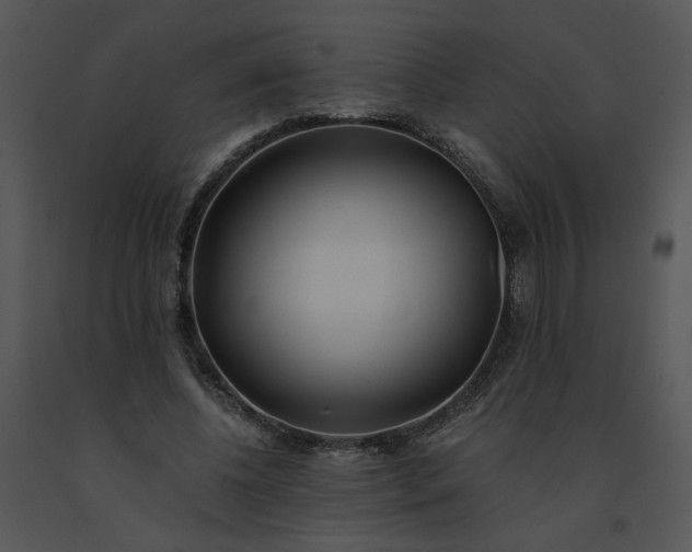 X0000091520540200708311251