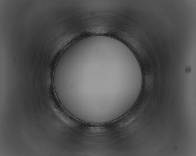 X0000091520541200708311251