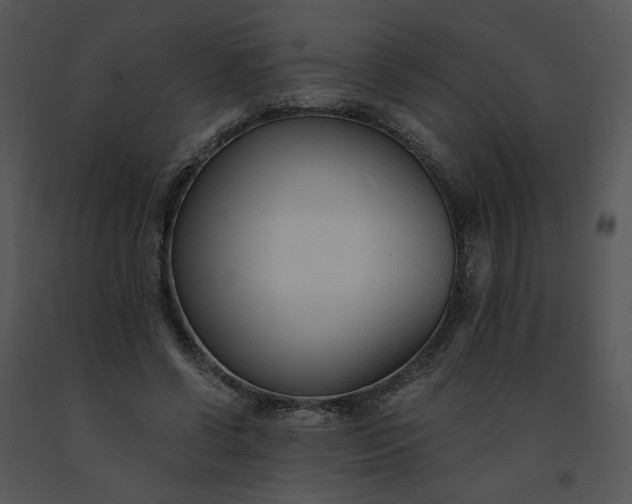 X0000091520542200708311251