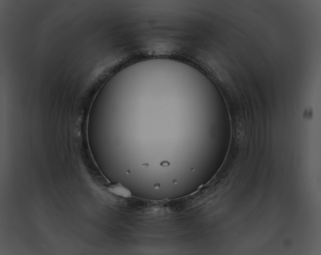 X0000091520543200708311251