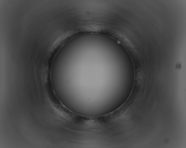 X0000091520544200708311251