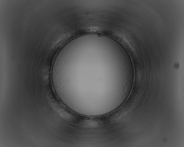 X0000091520545200708311251