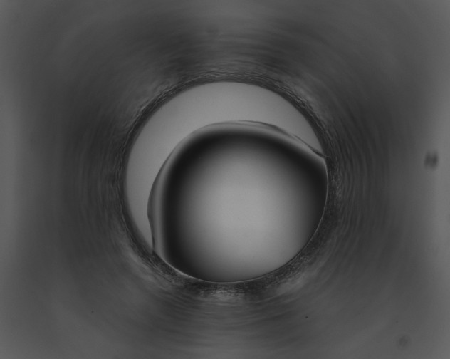 X0000091520546200708311251