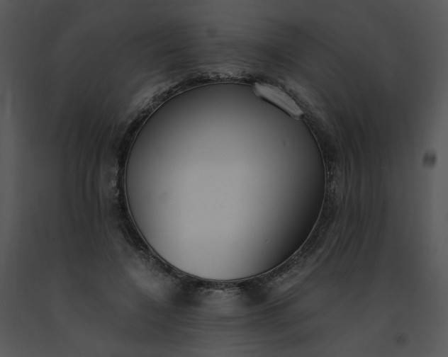 X0000091520548200708311251