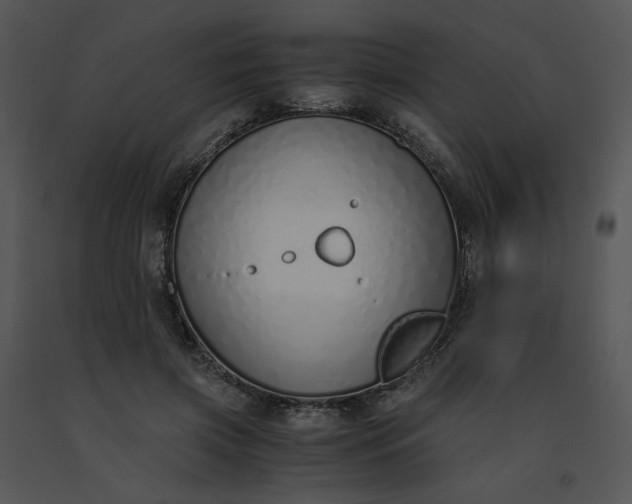 X0000091520549200708311251