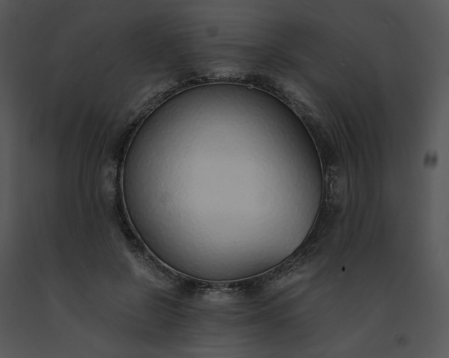 X0000091520550200708311251