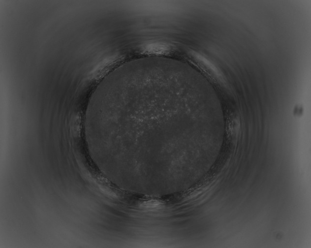 X0000091520551200708311251