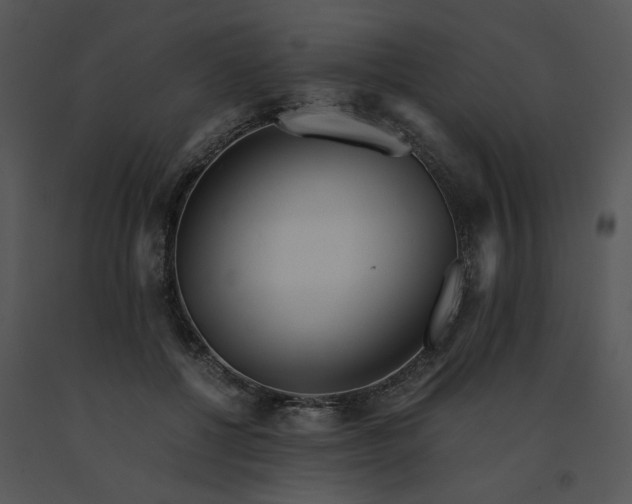 X0000091520552200708311251