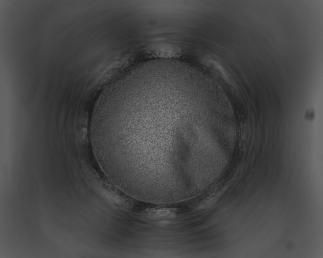 X0000091520553200708311251