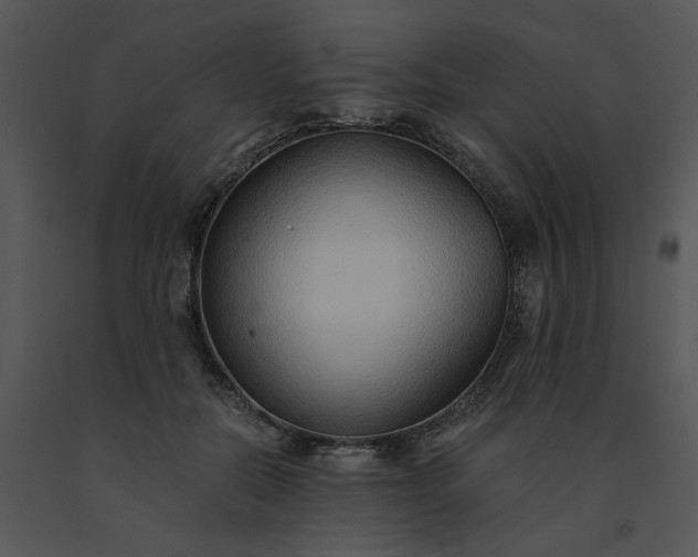 X0000091520554200708311251