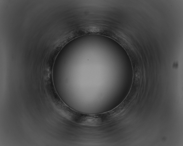 X0000091520555200708311251