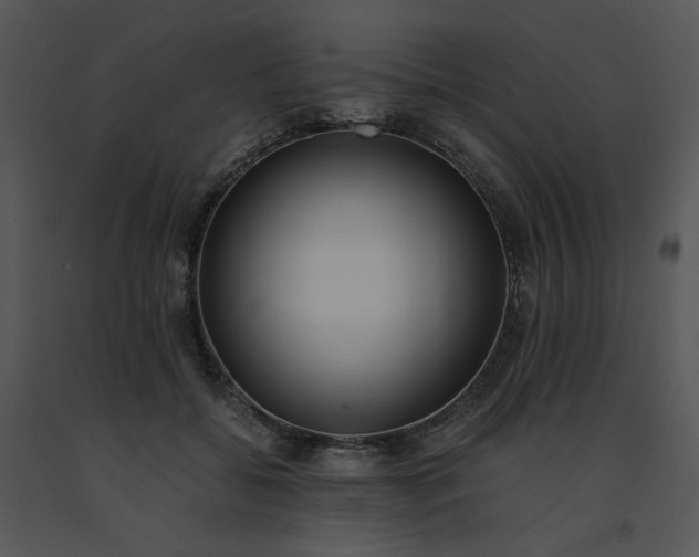 X0000091520556200708311251