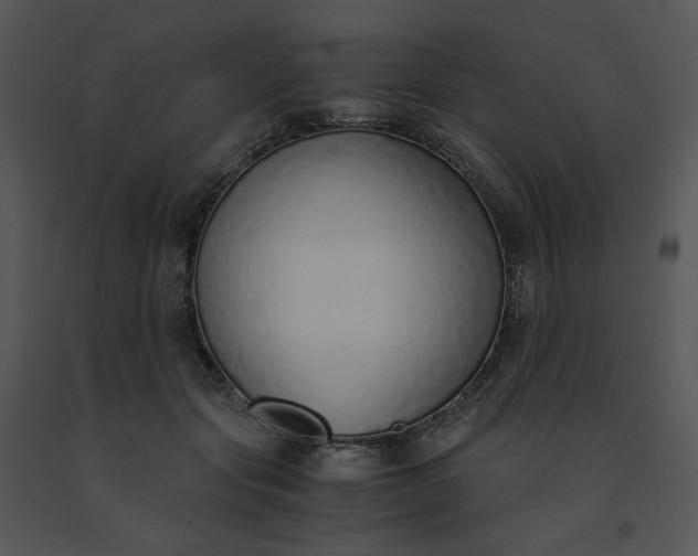 X0000091520557200708311251