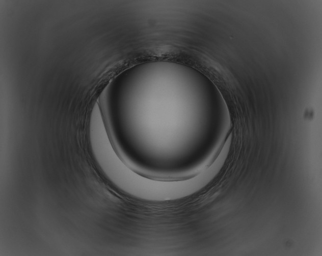 X0000091520558200708311251