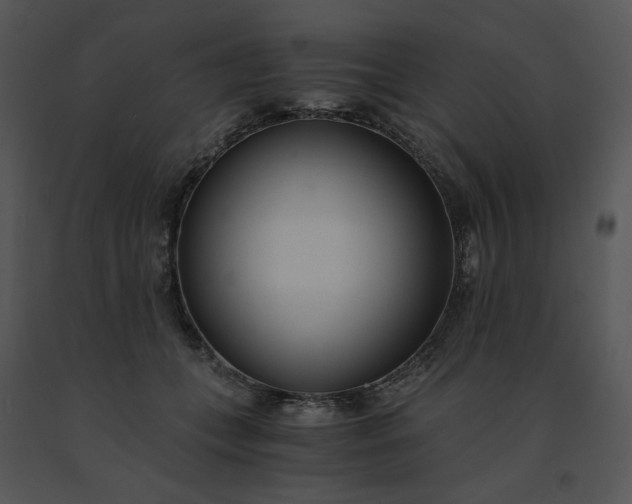 X0000091520559200708311251