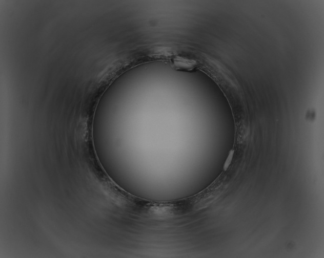 X0000091520560200708311251