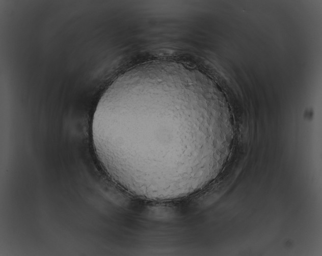 X0000091520561200708311251