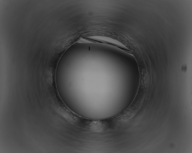 X0000091520562200708311251